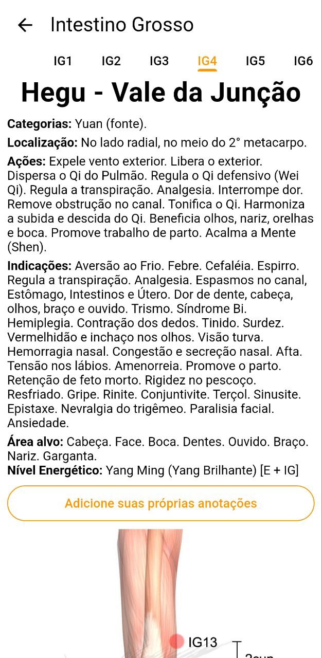 Ficha completa do ponto IG4 Hegu com categorias, localização, ações e indicações