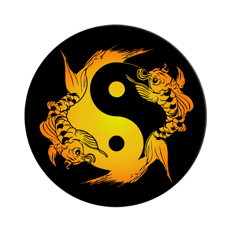 Logo do Assistente de Acupuntura